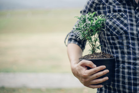 Young man was holding a seedling to prepare to plant a tree, Preserving or loving the environment or...