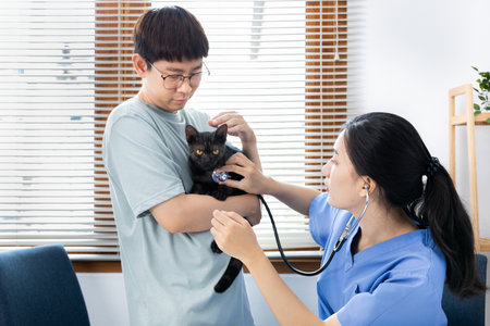 Veterinarian or animal nurse is checking the cat's health and Consulting pet owners for cat health in the hospital, Save animals, Care and treatment, Animal hospital.の写真素材