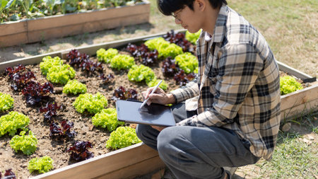 Young owner of a small organic vegetable garden business uses a tablet to control and direct the...