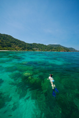 Skin Diving, Similan Islands, Marine National Park, South of Thailandの写真素材