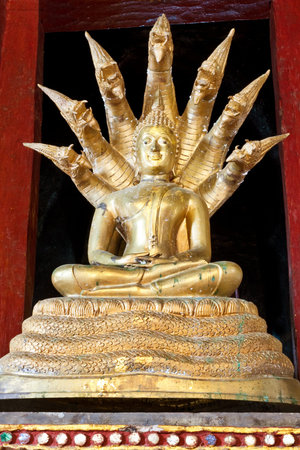 image portrait of Buddha (Nak prok series)の写真素材