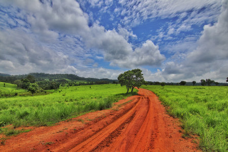 Thung Salaeng Luang National Park, Thailandの写真素材