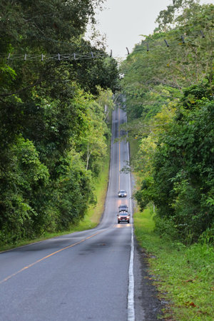 The road view in Khao Yai National Park, Thailandの写真素材