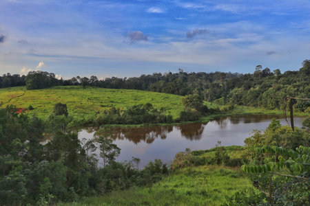 A view of Khao yai national park, Thailandの写真素材