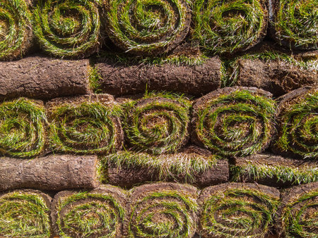 Rolled grass lawn for urban greening ready for stacking of roll green lawn.の写真素材