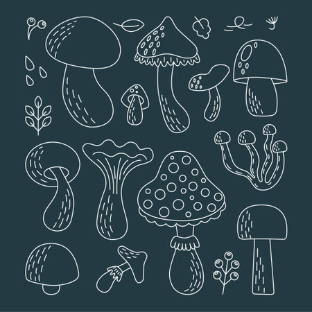 Doodle set of different types of mushroomsのイラスト素材