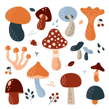Set of different types of mushroomsのイラスト素材