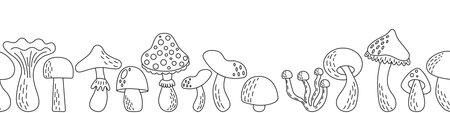 Mushrooms horizontal seamless banner. Hand drawn editable food drawings repeating pattern for coloring book. Forest autumn plant. Outline vector illustration isolated on white backのイラスト素材