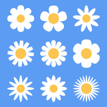Chamomile daisy flower icon set. Cute round White flower plant collection. symbol of Love for greeting card. Flat vector illustration isolated on blue backgroundのイラスト素材