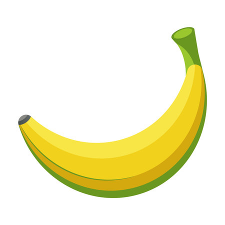 Simple banana. Fresh yellow banana. Organic Tropical fruit. Concept of healthy food. Flat vector illustration isolated on white backgroundのイラスト素材