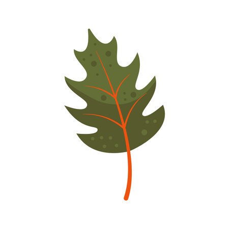 Simple, stylized illustration of dark green autumn leaf with lobed edges. Foliage with red veins and small circular spots. Flat vector illustrationのイラスト素材