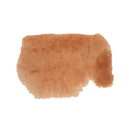 Watercolor Brushstroke. Brown patch of texture paint. Vector illustration isolated on white backgroundのイラスト素材