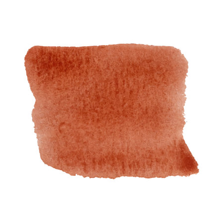 Watercolor Brushstroke. Intense Brown patch of texture paint. Vector illustration isolated on white backgroundのイラスト素材