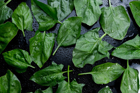 Fresh spinach with rotating on black background.の写真素材