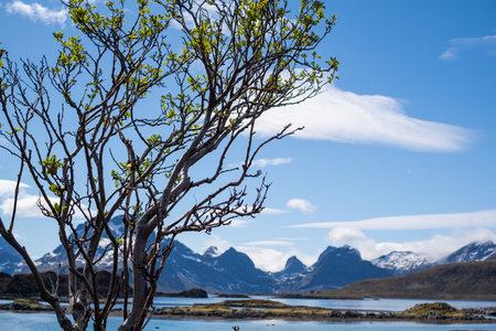 Lofoten islands Norwayの写真素材