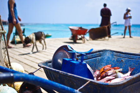 dock santa maria - cape verdeの写真素材