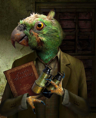 Parrot People Watcher