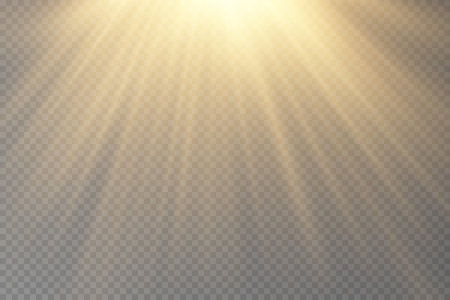 Glow transparent glitter, spark, sun flash.のイラスト素材