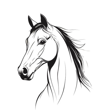 Minimalist Horse Head Profile Illustrationのイラスト素材