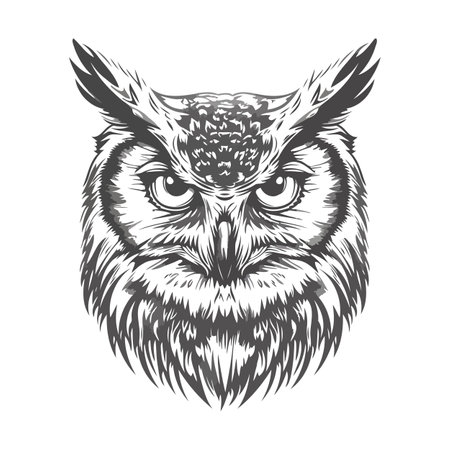 Detailed Owl Face In Black And Whiteのイラスト素材