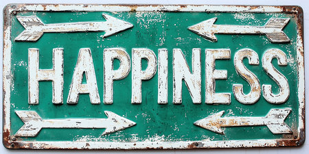 Street Sign the Direction Way to HAPPINESS versus HAPPINESSの素材