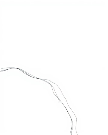 Fine continuous curved line on blank canvasの素材