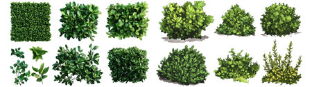 Set of green bushes and trees isolated on transparent background.の素材