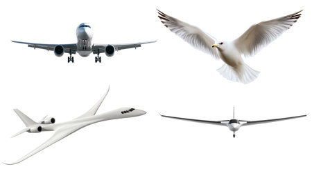 Airplane with flying gull isolated on transparent background.の素材