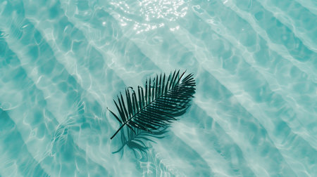 Palm leaf on the surface of the turquoise water.の素材