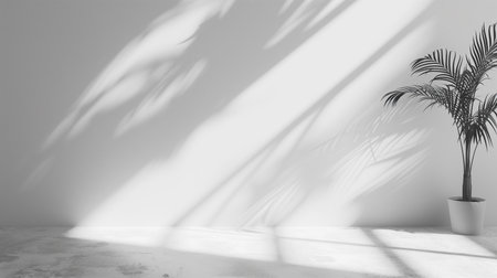 3d rendering of white wall with shadow from palm tree in potの素材