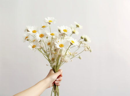 hand holding bouquet of chamomile flowers created with Generative AI technologyの素材
