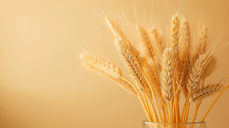 A banner featuring a bouquet of wheat spikelet creates a minimalistic composition with text space, celebrating the essence of harvestの素材