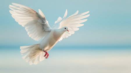 Graceful symbol of peace: A majestic white dove soars in the celestial sky, embodied freedom and tranquility. Perfect for conveying messages of hope and spiritual connectionの素材