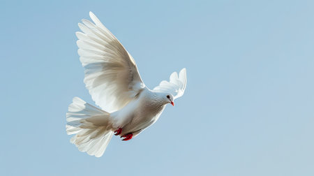 Graceful symbol of peace: A majestic white dove soars in the celestial sky, embodied freedom and tranquility. Perfect for conveying messages of hope and spiritual connectionの素材