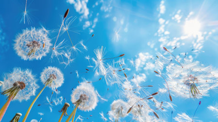 dynamic shot of dandelion seeds blowing in the wind against a vivid blue sky, conveying a sense of freedom and the whimsical beauty of nature.の素材