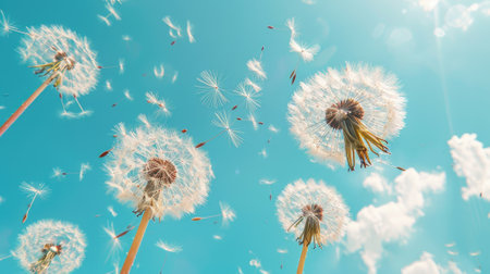 dynamic shot of dandelion seeds blowing in the wind against a vivid blue sky, conveying a sense of freedom and the whimsical beauty of nature.の素材