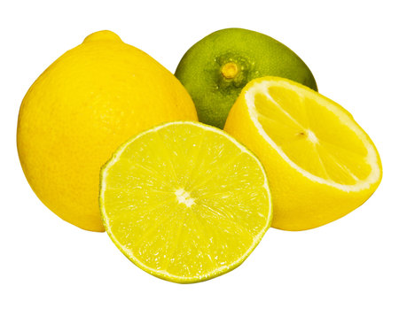 Citrus Fruits Isolated