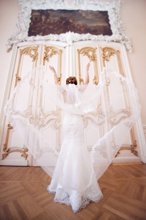 Beauty bride in bridal gown with lace veil indoorsの写真素材