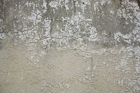 Closeup of wall textureの写真素材