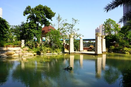 Pond in the parkの写真素材