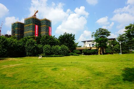 Park beside the construction siteのeditorial素材
