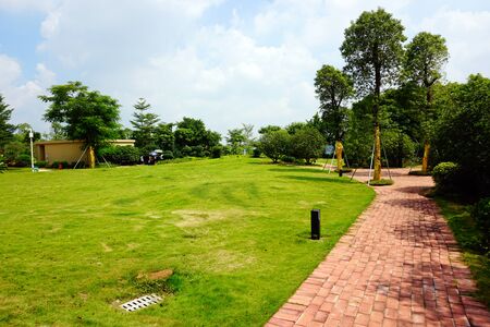 Trees in the parkのeditorial素材