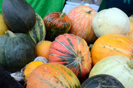 vegetables at fair. Beautiful and delicious