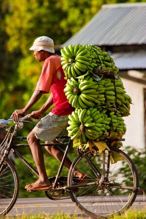African man traveling with a bunch of bananas on a bikeの写真素材