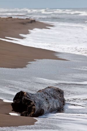 Piece of wood on the tropical beach with blue skyの写真素材