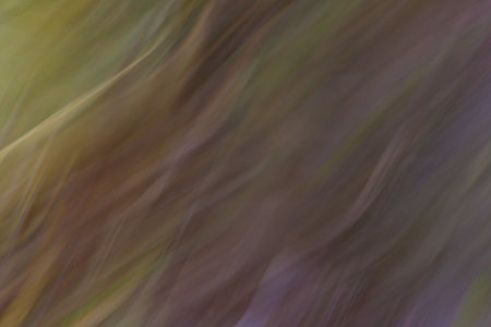 Abstract figure of grass and water in a jungle