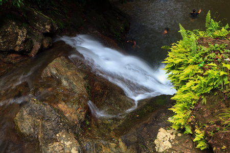 Water fall in a tropical rain forest
