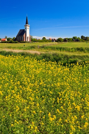 Church and flower field on a sunny day in springの写真素材