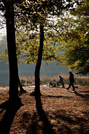 Woman resting on a bench in the forest on a sunny dayの写真素材