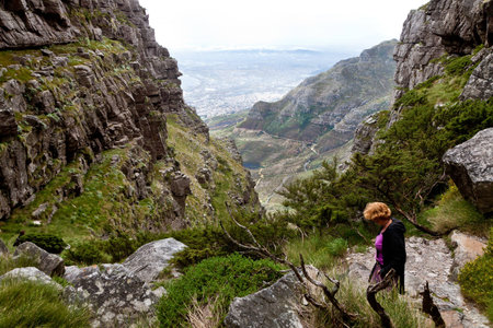 Woman hiking on the table mountain of Cape Townの写真素材